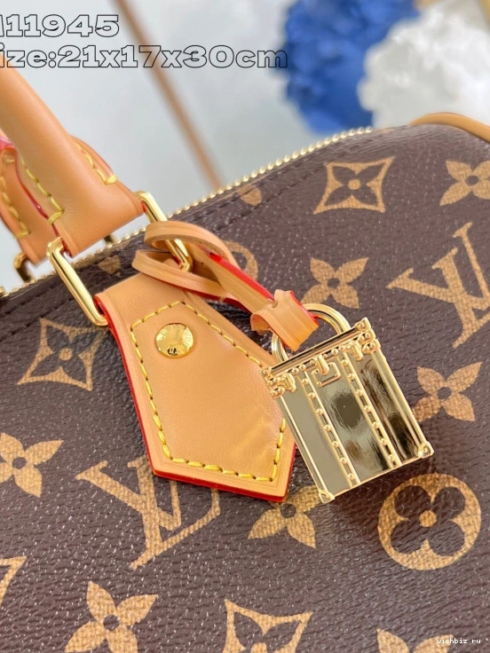 WIS Crafty Speedy Soft Vuitton 30 Louis 0317